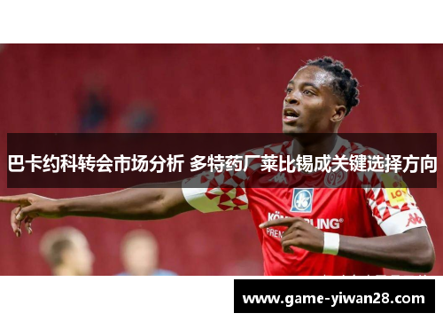 巴卡约科转会市场分析 多特药厂莱比锡成关键选择方向